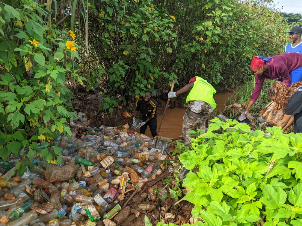Combating Plastic Pollution